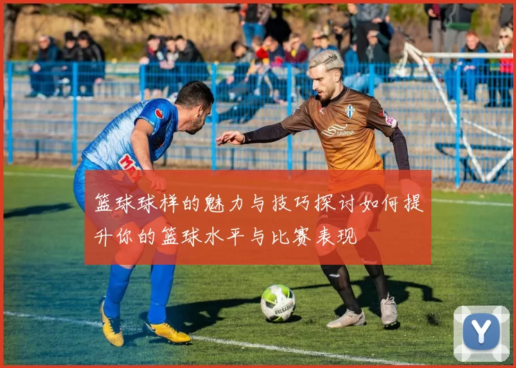 篮球球样的魅力与技巧探讨如何提升你的篮球水平与比赛表现