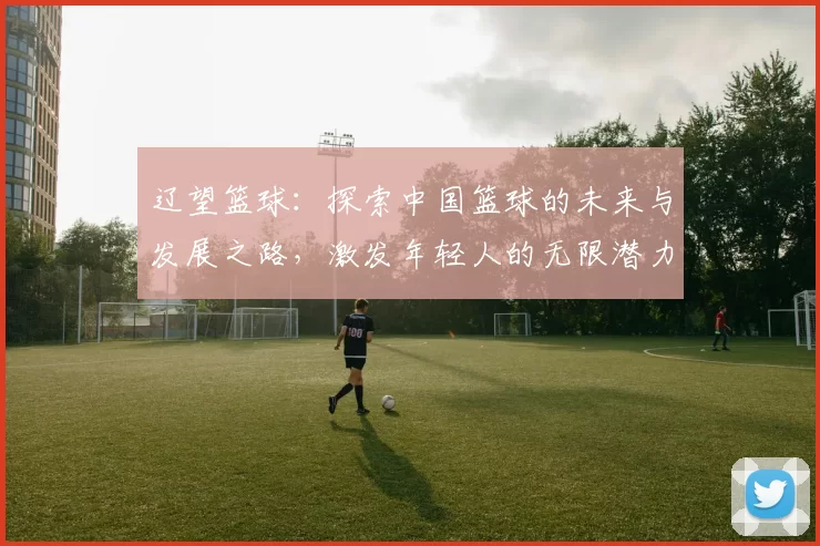 辽望篮球：探索中国篮球的未来与发展之路，激发年轻人的无限潜力与热情