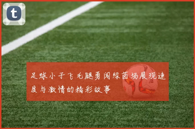 足球小子飞毛腿勇闯绿茵场展现速度与激情的精彩故事